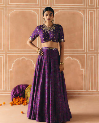 Imperial violet panel lehenga set