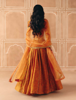 Burnt orange mix print panel lehenga set