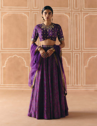 Imperial violet panel lehenga set