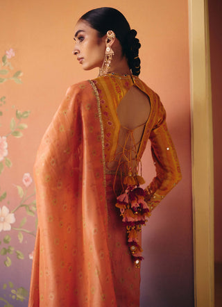 Soni yellow sari with blouse
