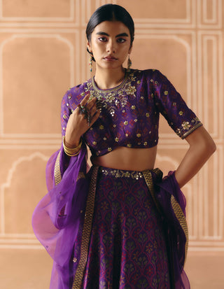 Imperial violet panel lehenga set