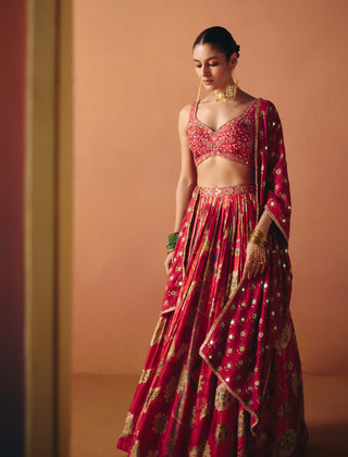 Ruhi pink lehenga set