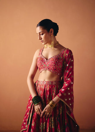 Ruhi pink lehenga set