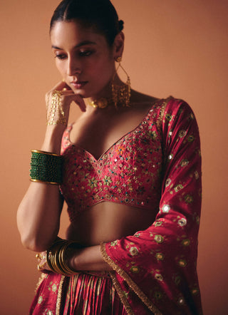 Ruhi pink lehenga set