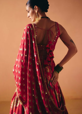 Ruhi pink lehenga set