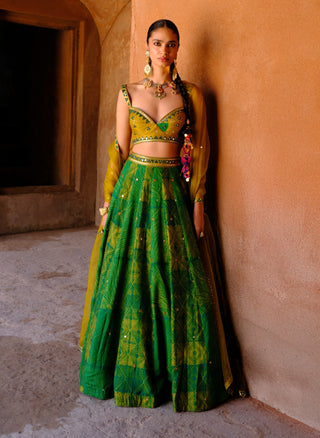 Tara green printed lehenga set