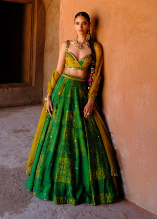 Tara green printed lehenga set