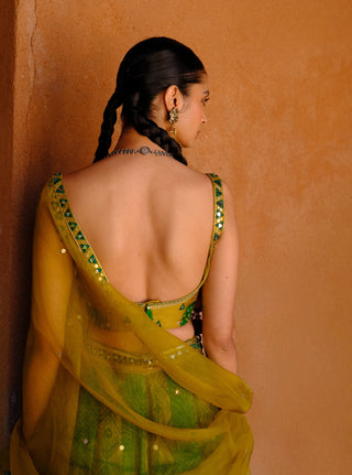 Tara green printed lehenga set