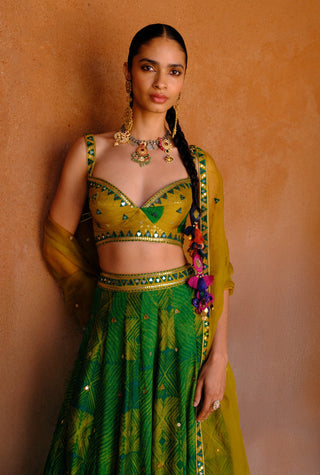 Tara green printed lehenga set