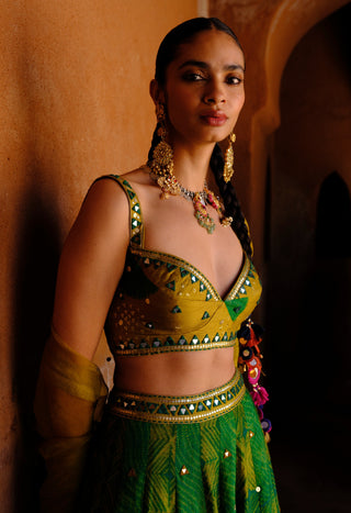 Tara green printed lehenga set