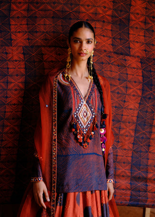 Inaaya rust printed lehenga set