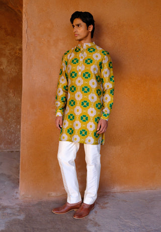 Tara printed kurta and pant