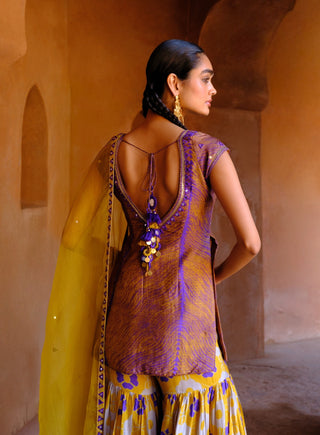 Navya yellow printed sharara set