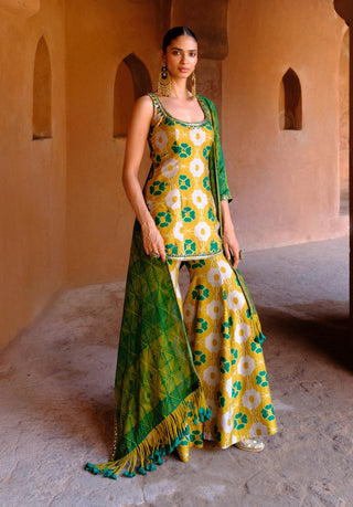 Tara green printed tunic and flared pant set