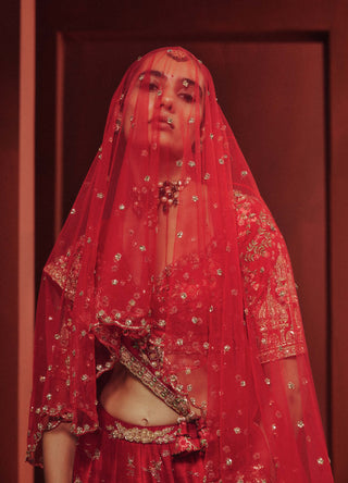 Grand reverie bridal lehenga