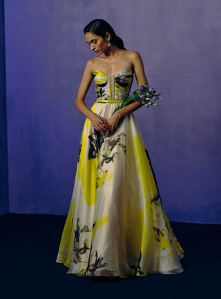 Butterveil Print Ball Gown