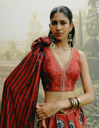 Red Box Pleat Panelled Lehenga Set by Drishti & Zahabia, available on Indiaspopup.com