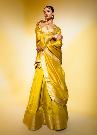 Phoenix mustard lehenga