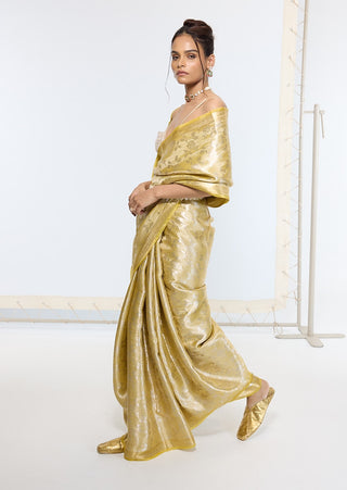 Golden hour tissue silk sari