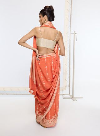 Rusty orange banarasi sari