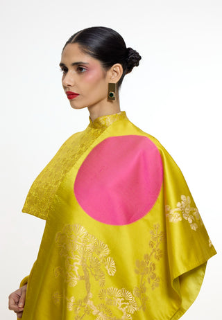 Yellow ochre mashroo silk sari