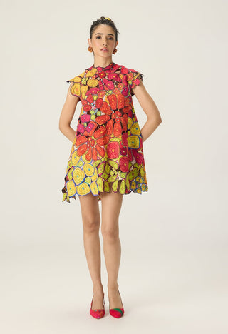 Esther multicolor embroidered dress