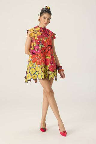 Esther multicolor embroidered dress