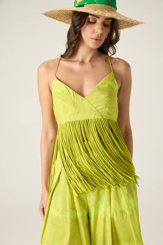 Raven lime green printed blouse and saylor palazzo