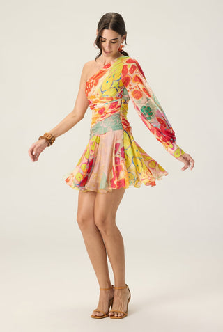 Juliana multicolor printed dress