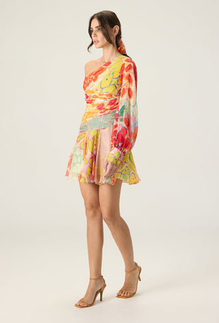 Juliana multicolor printed dress