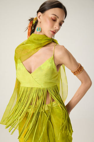 Agatha lime green draped sari with blouse