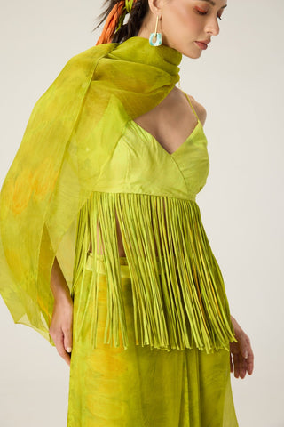 Agatha lime green draped sari with blouse
