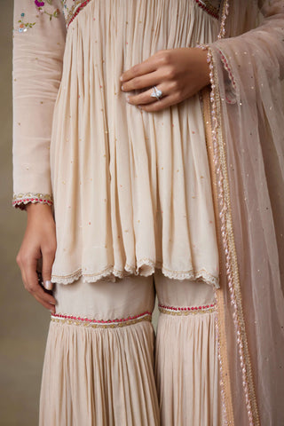 Fairy toosh sharara set