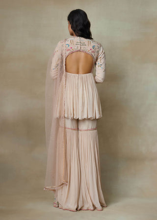 Fairy toosh sharara set