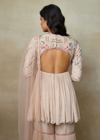 Fairy toosh sharara set
