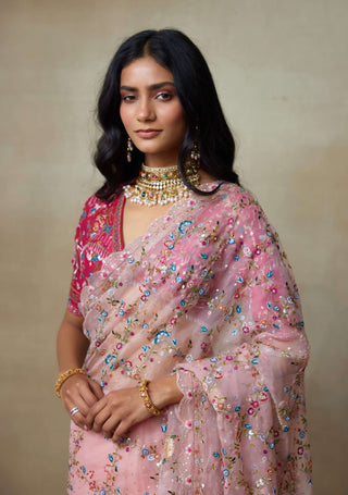 Falcon pink sari and blouse