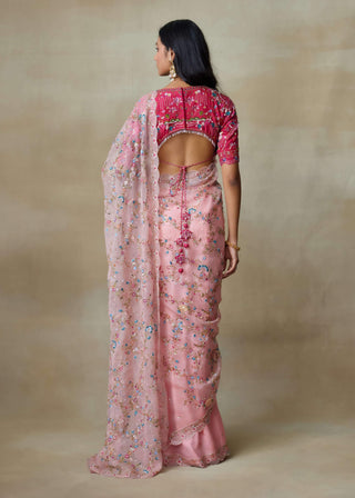 Falcon pink sari and blouse