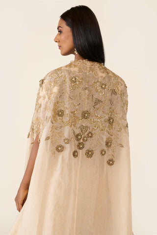 Golden embroidered cape and palazzo set