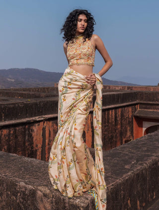 Buttercup printed sari and blouse