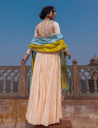 Buttercup anarkali koti set