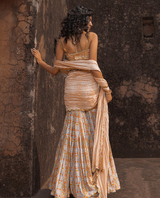 Buttercup noor gharara sari set