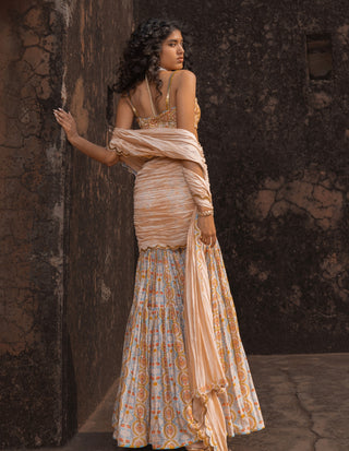 Buttercup noor gharara sari set