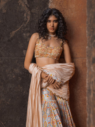 Buttercup noor gharara sari set