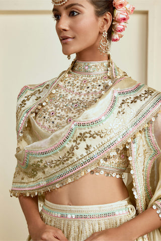Gold micro-mirror embroidered luxury lehenga set