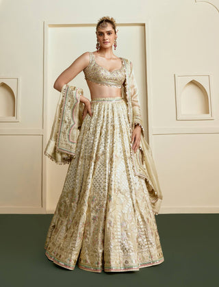 Gold mosaic mirror gota lehenga set