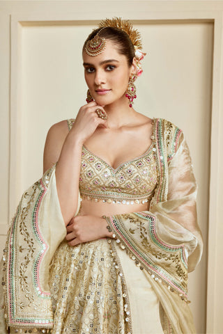 Gold mosaic mirror gota lehenga set