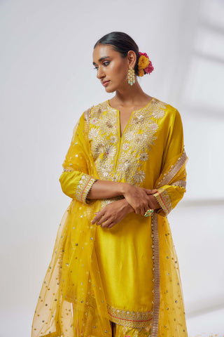 Anjali yellow sharara set