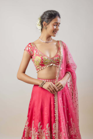 Alaya cranberry lehenga set