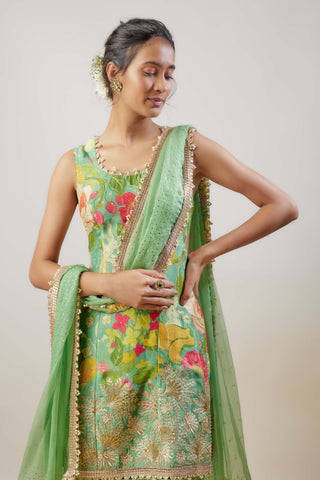 Sofina mint green sharara set