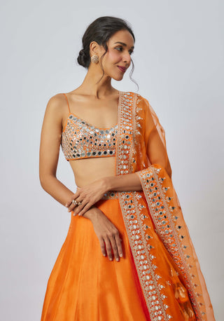 Janya orange lehenga set